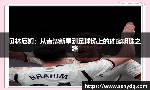 星空体育平台app